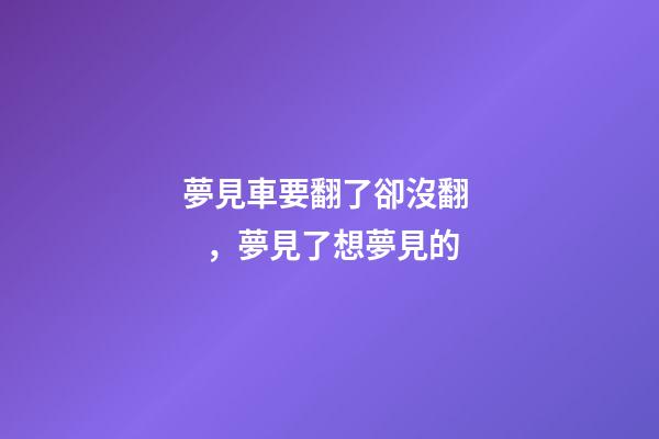 夢見車要翻了卻沒翻，夢見了想夢見的-第1張-觀點-玄機派